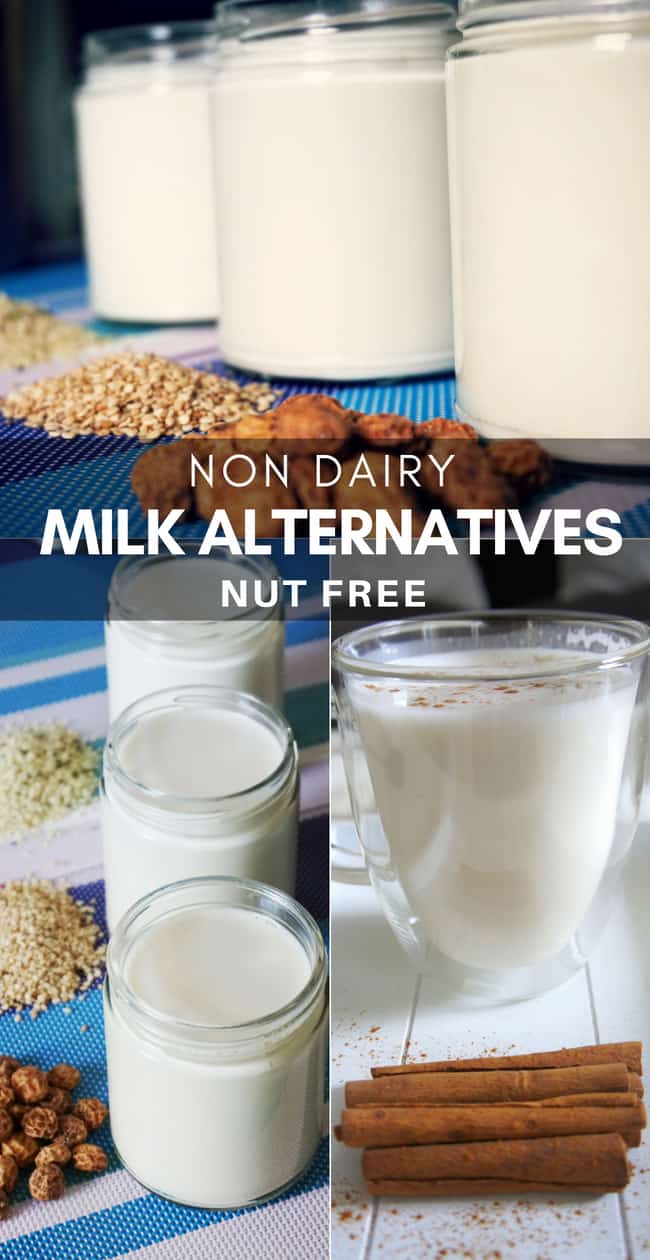 Dairy Free Nut Free Milk Alternatives